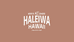 HALEIWA官方旗舰店