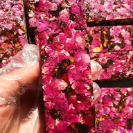 东阿纯手工阿胶糕的小店