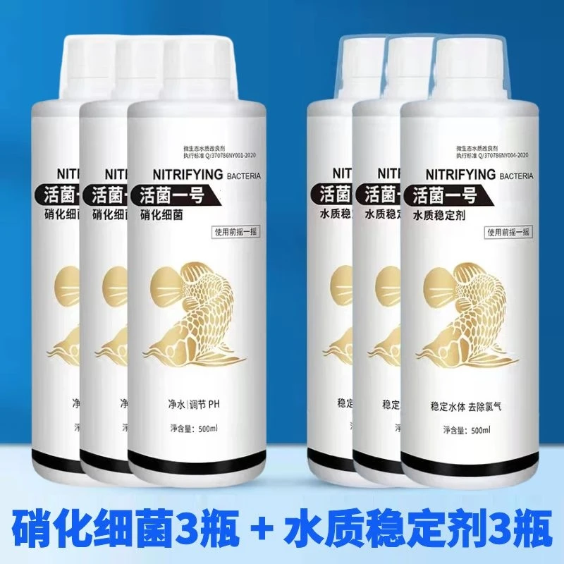 硝化细菌用于鱼缸水质浑浊、腥臭、发黄！鱼缸净水打造空气缸活菌