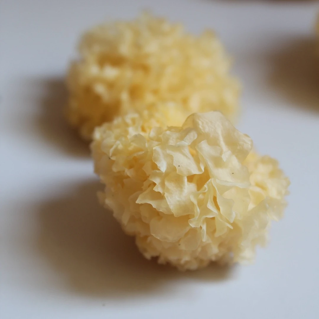 福建古田小朵银耳净重50克250克500克干货炖甜品软糯银耳白木耳