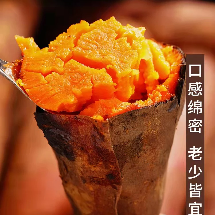 【大山深处的孩子王】沙地西瓜红蜜薯软糯香甜净重5斤9斤红薯地瓜