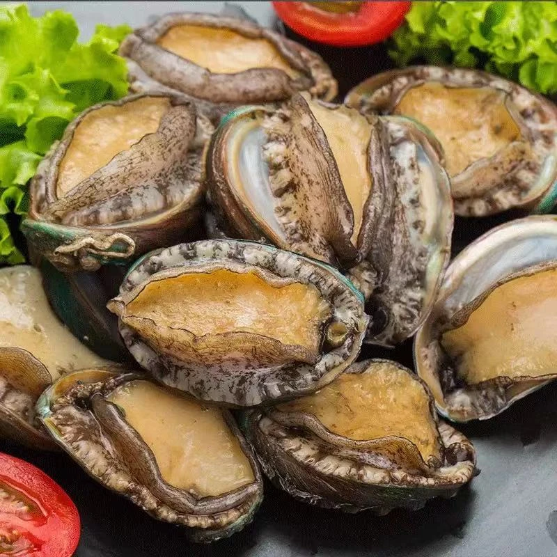 连云港发货  新鲜 冷冻鲍鱼肉 鲜嫩饱满 到手32只 400g左右