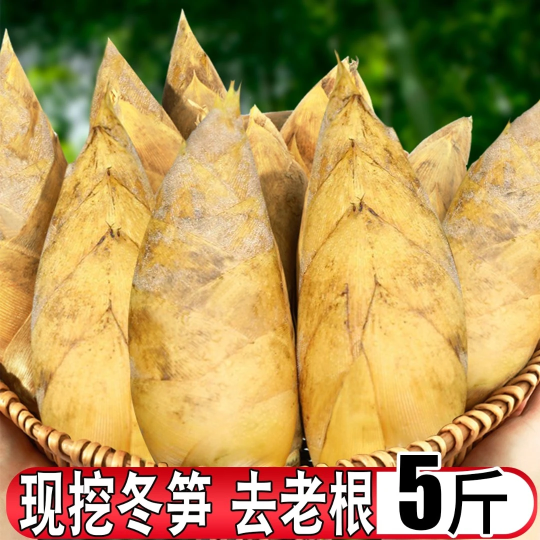 现货湖南新鲜冬笋现黄泥笋带壳毛竹笋孕妇蔬菜5/9斤装包邮