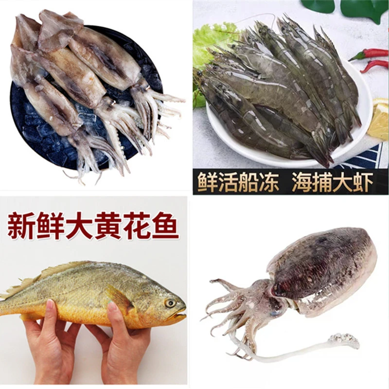 连云港发货 鲜冻鱿鱼2斤 海洋虾2斤 大黄鱼2斤 墨鱼2斤