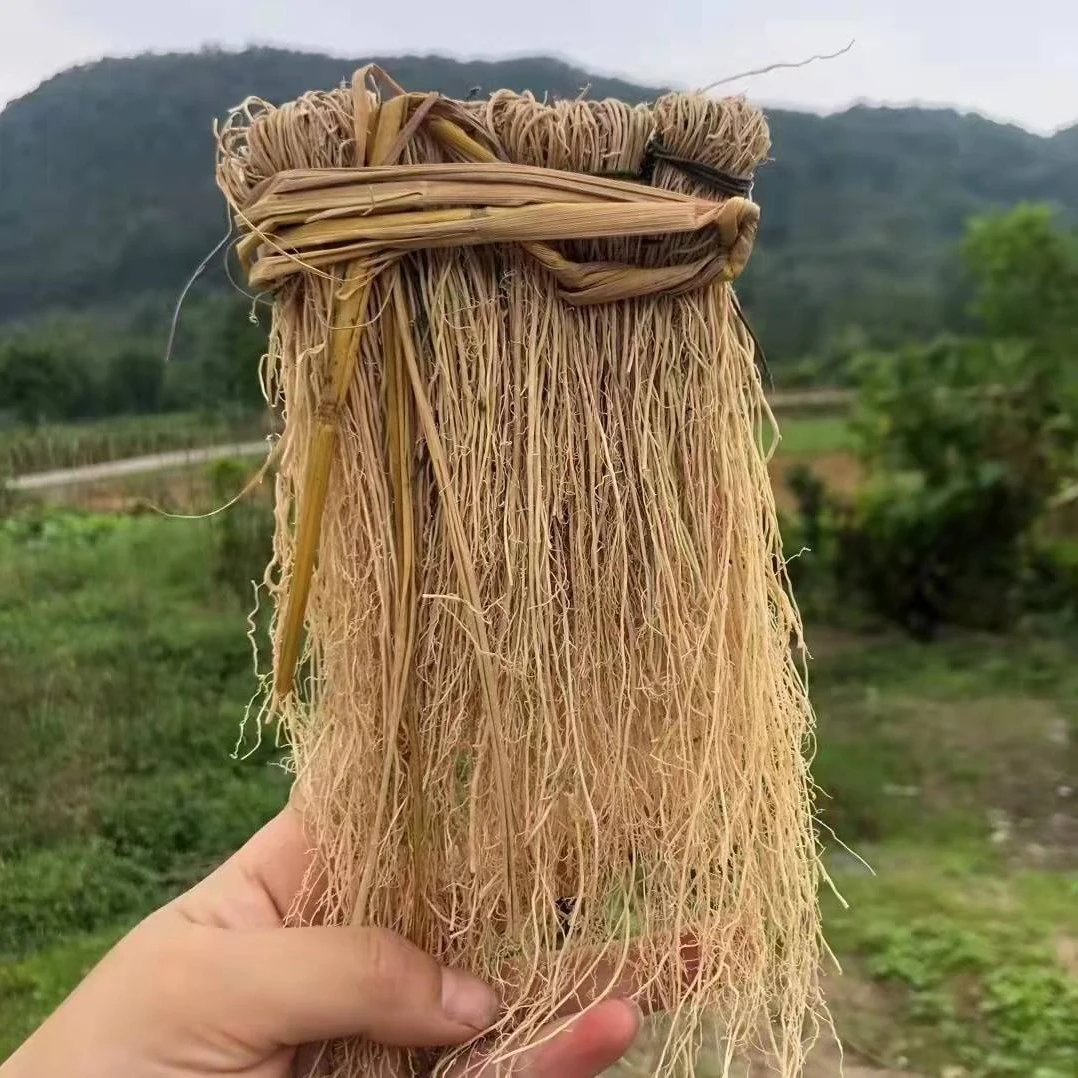 养干草 丝线根 煲汤材料 一包50克/10扎