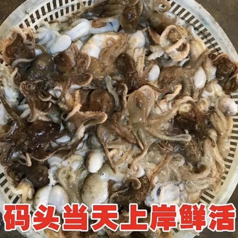野生原条八爪鱼 原浆不泡淡水 4斤 山东日照顺丰包邮