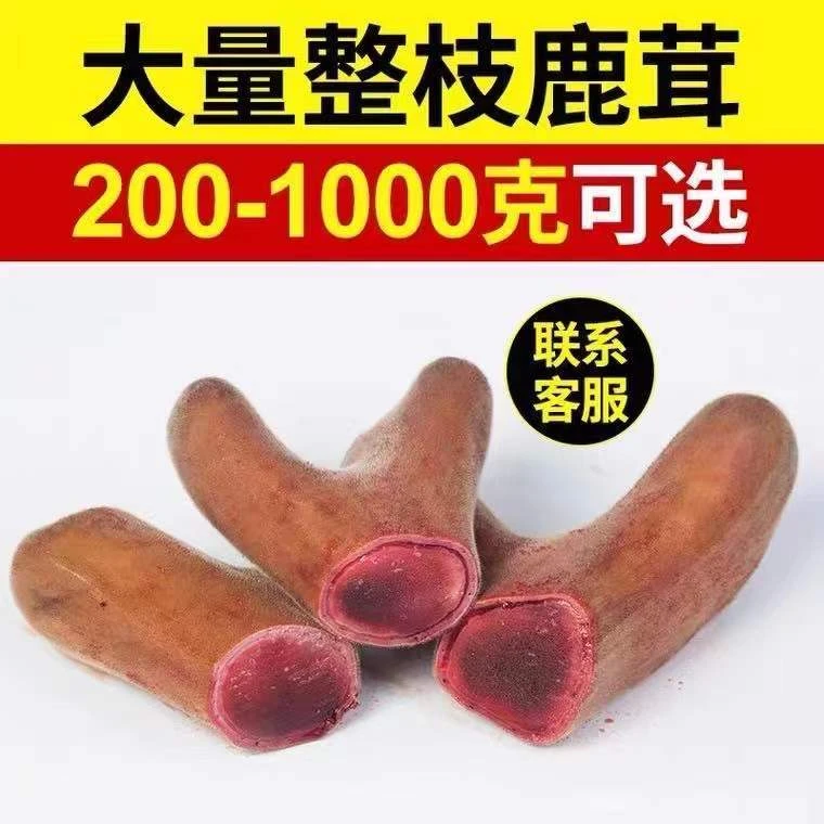 2新鲜鹿茸产地整枝鹿茸 选这个链接 2