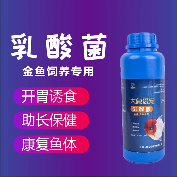 乳酸菌 金鱼饲养专用500ml 大象爱宠开胃诱食助长保健康复鱼体