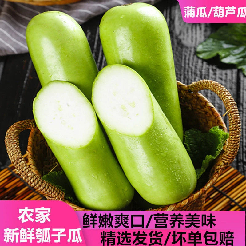 精选新鲜蔬菜现摘瓠瓜蒲瓜葫芦夜开花1/3/5斤农家种植时令蔬菜