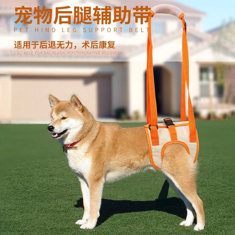 宠物后腿辅助带高龄老年犬瘫痪犬狗狗术后康复锻炼上楼伸缩协助带