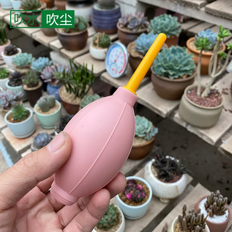 多肉吹尘球气吹皮吹清洁工具植物通用多用园艺清灰气球吹工具种植