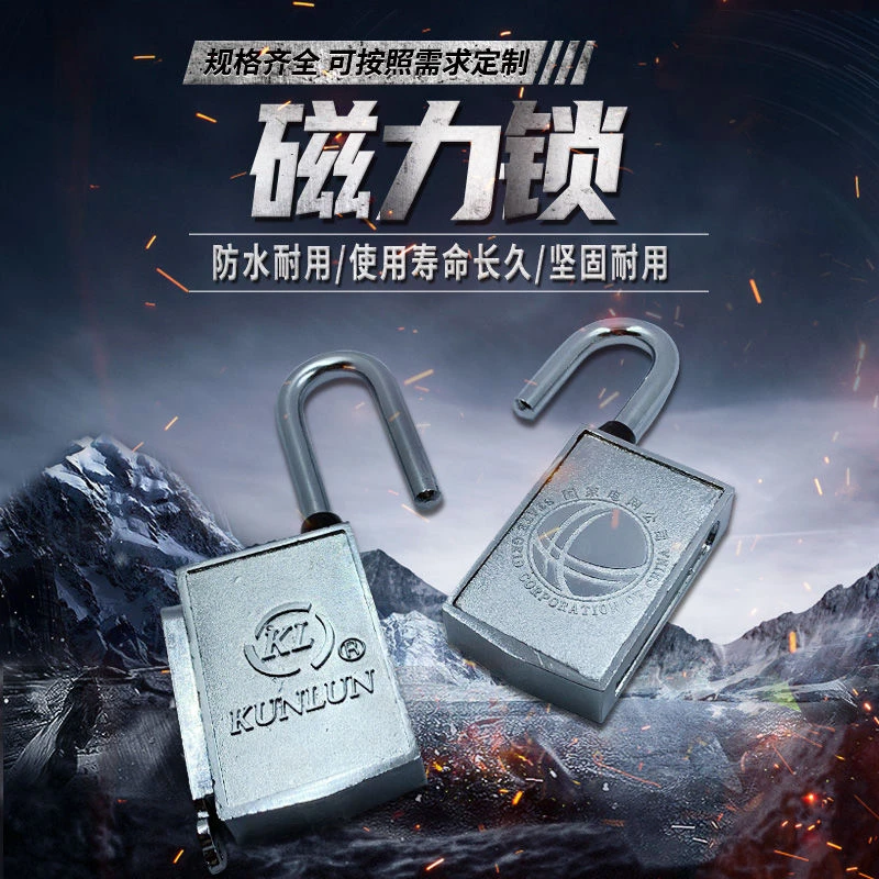 WEKECY 感应密码磁力 锁无钥匙孔