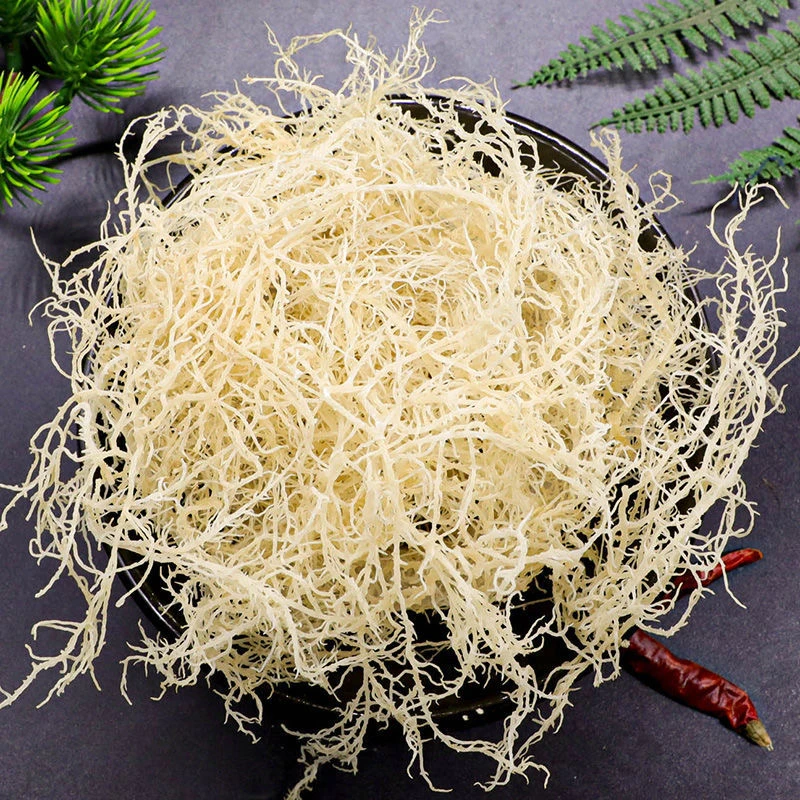 山东日照 龙须菜 泡发凉拌菜10包29.9包邮新鲜鹿角菜营养脆嫩爽口