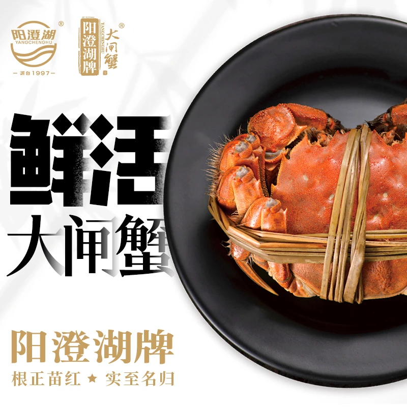 阳澄湖牌【全母活蟹】阳澄湖牌大闸蟹有机全母蟹2.5两*8只 活水塘养