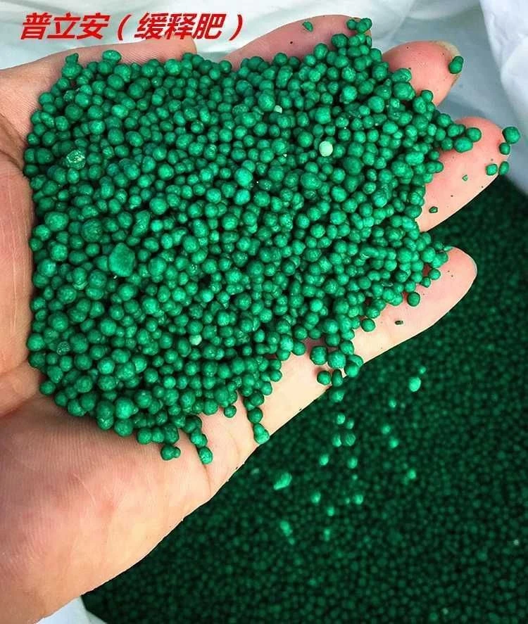 杜鹃花专用奥绿肥、普立安控释肥Polyon，散装1斤装