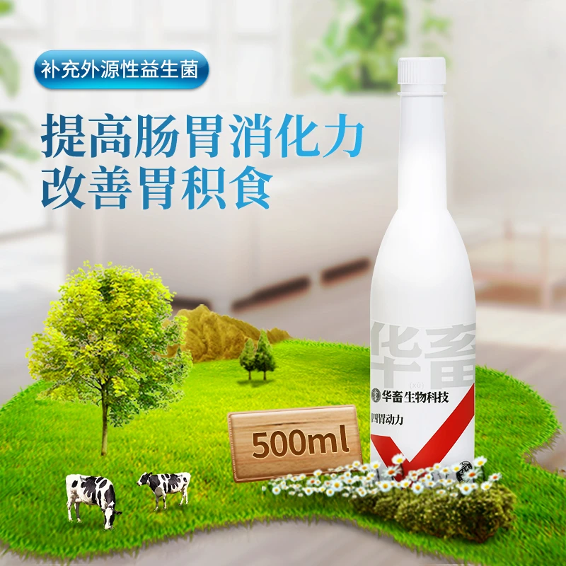 四胃动力液500ml 提高消化力  改善胃积食