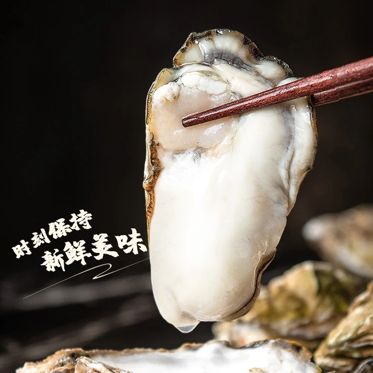 鲜活生蚝原产地精品级大号新鲜牡蛎 鲜活肥美海蛎子 5斤／10斤装