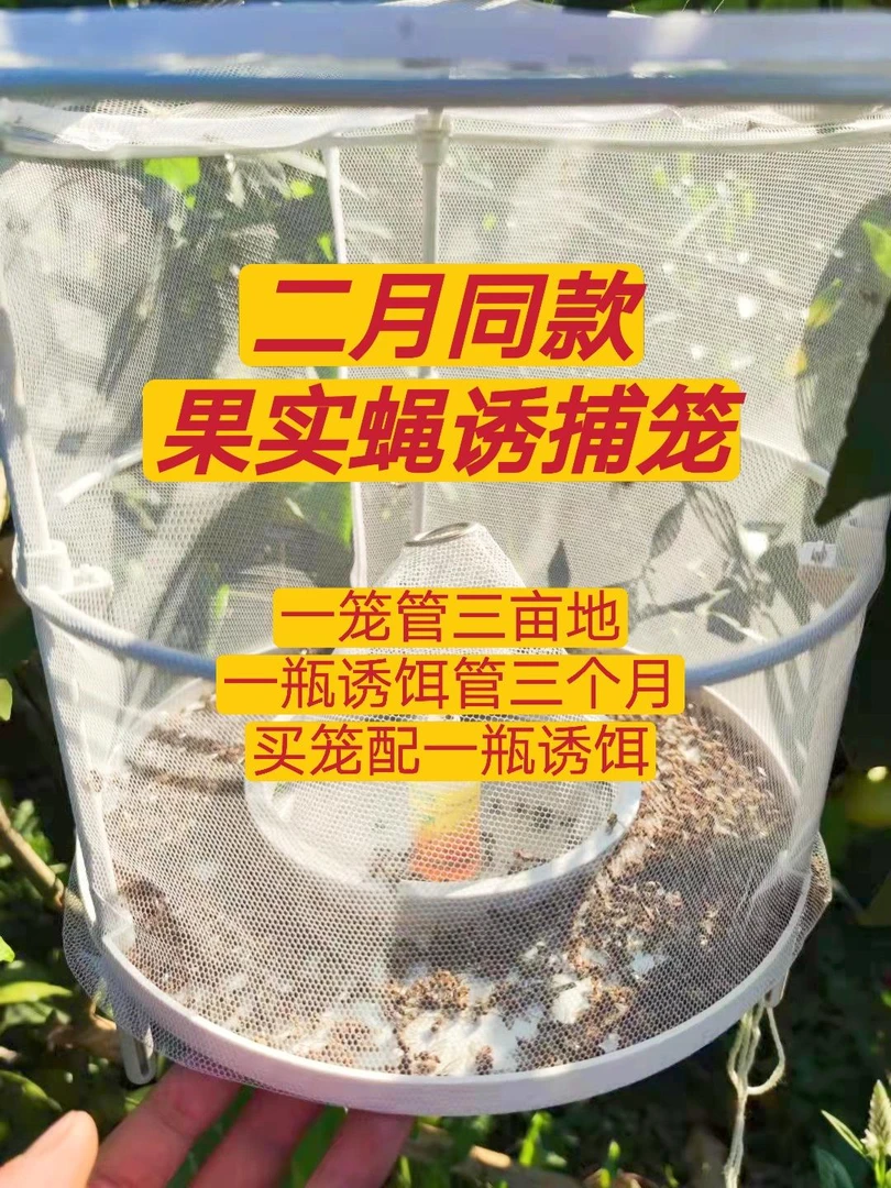 二月同款果实蝇诱捕笼，果树一亩地一个