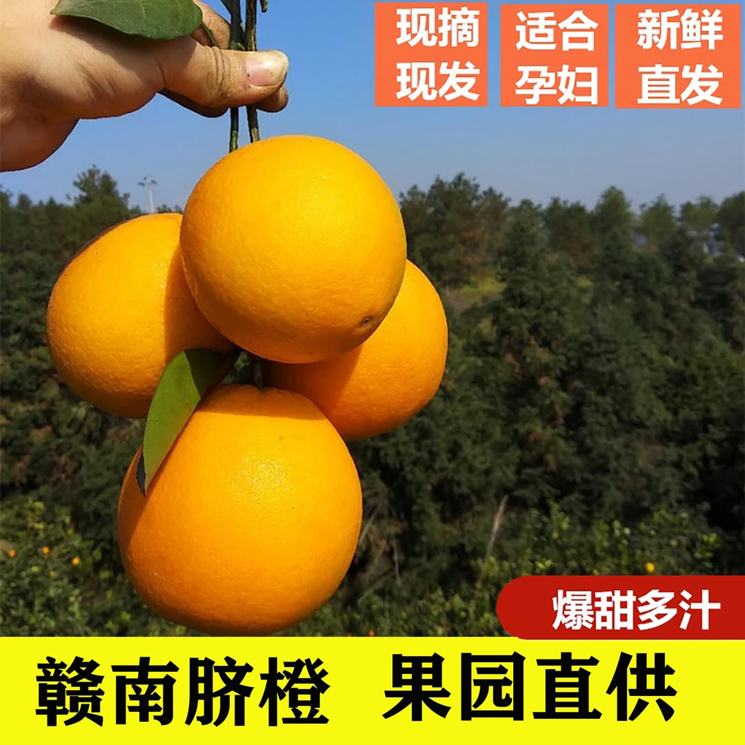 鲜果秒拍江西赣南脐橙橙子10斤礼盒脆嫩天然正宗赣州橙子种植香甜