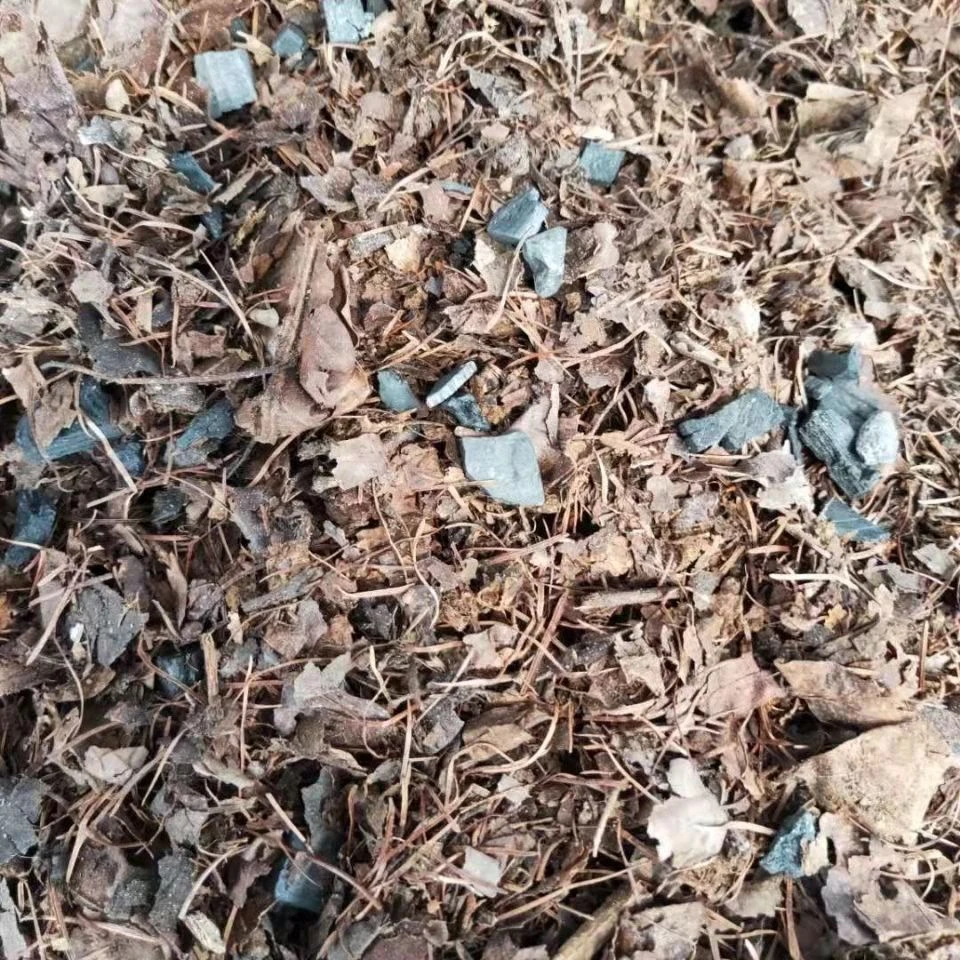 君子兰专用凤凰山橡树叶花土腐叶土一袋五斤