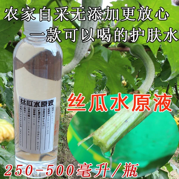农家新鲜瓜果水 丝瓜水原液 蔬菜 120ml 500ml两瓶装 规格带喷壶
