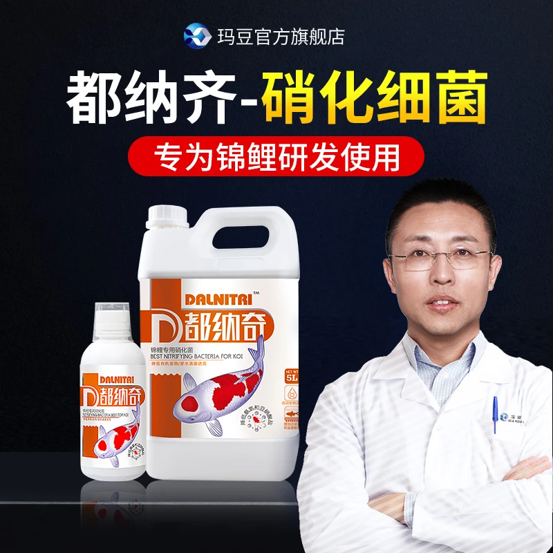 玛豆都纳奇液体锦鲤用消化硝化细菌硝化菌庭院鱼池净化水质澄清