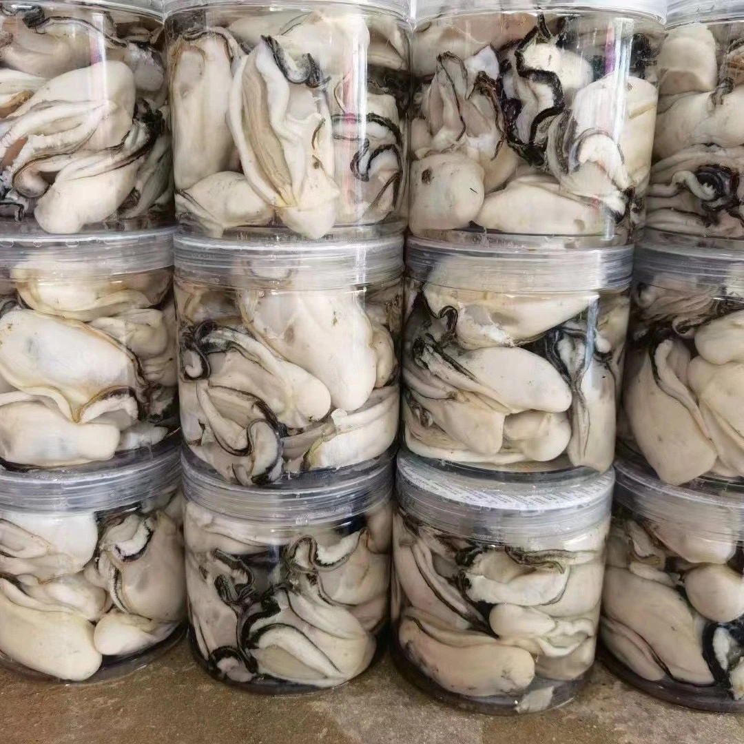 台山生蚝【中蚝肉】500克一罐鲜活现剥人工选/不可生吃生鲜