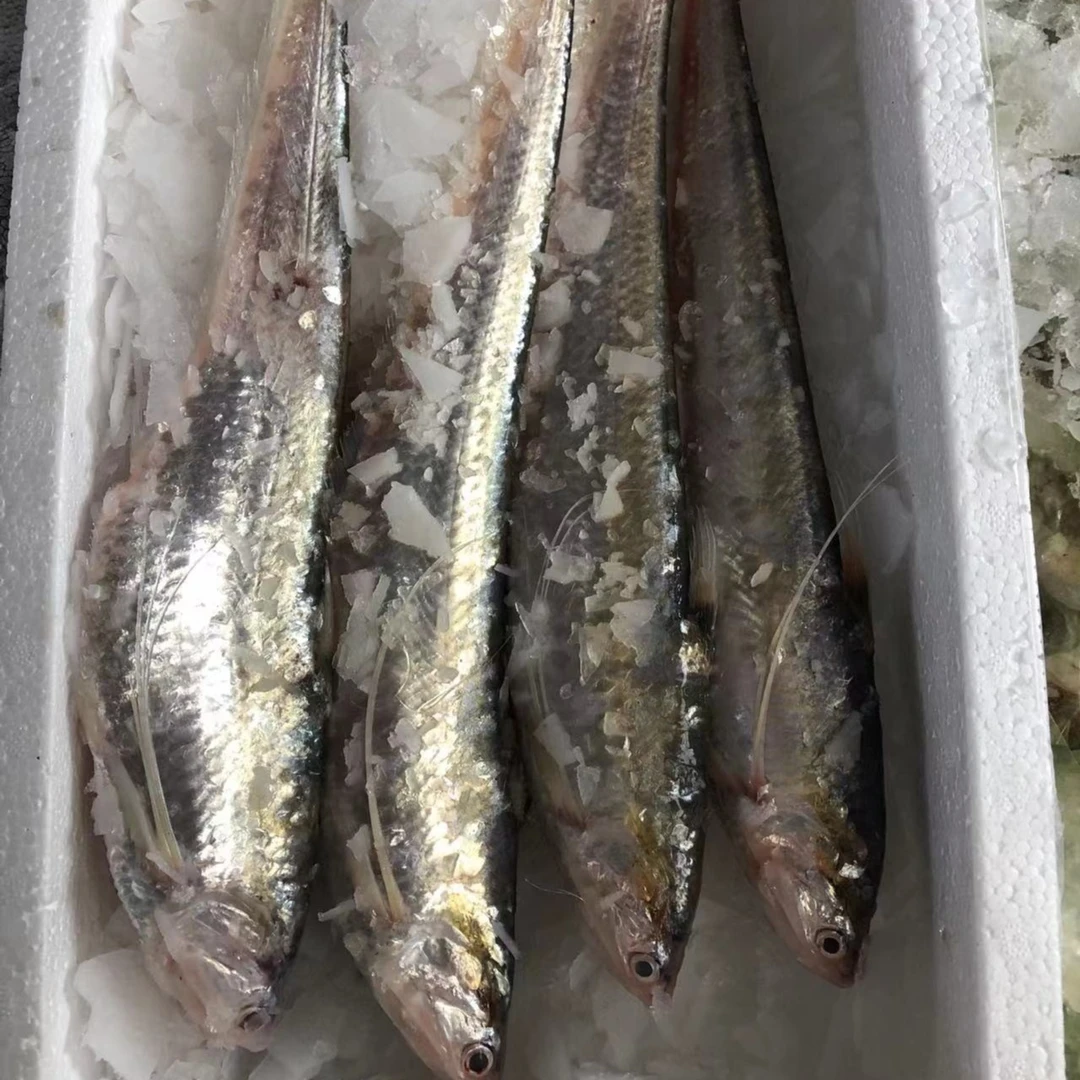 拖 7 吕四海鲜   拖网 海刀鱼7条/斤  介意慎拍
