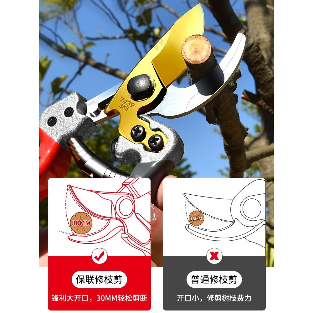 园艺剪枝剪刀修枝剪果树不锈钢园林花艺剪子工具修剪树枝剪刀花剪