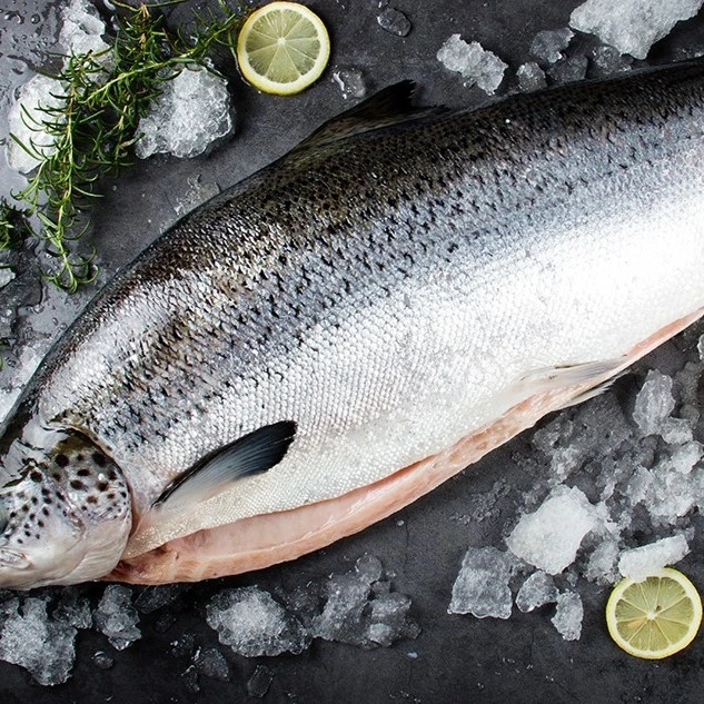 进口法罗冰鲜大西洋鲑鱼半条/整条定制约3～5.5公斤