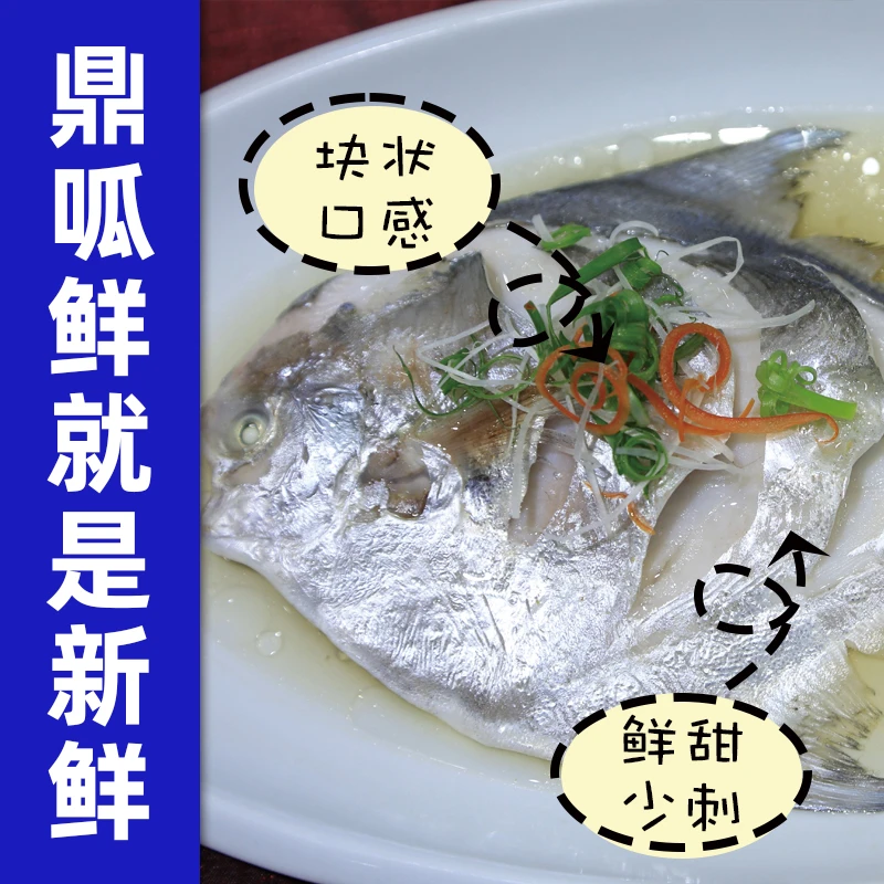 X（3条/斤，足斤4斤）东海舟山新鲜银鲳鱼 顺丰冷链包邮