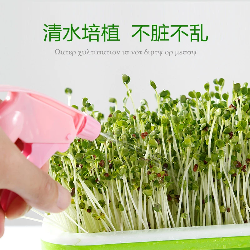 豆芽育苗育苗盘无土栽培水培蔬菜发芽盆芽苗菜种植豆芽纸上种菜