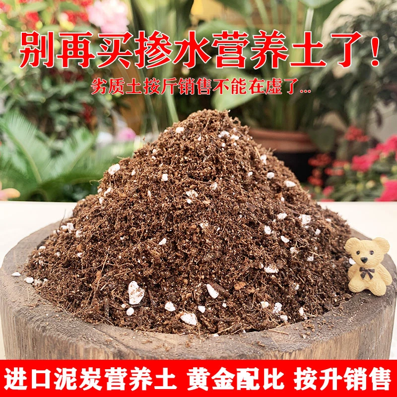 进口泥炭养花营养土盆栽花卉种植专用绿萝月季多肉通用型大包花土