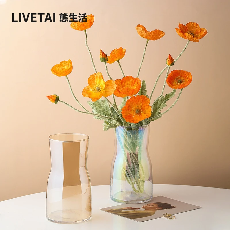 态生活 北欧ins炫彩透明玻璃花瓶鲜花插花瓶摆件客厅水养水培花器