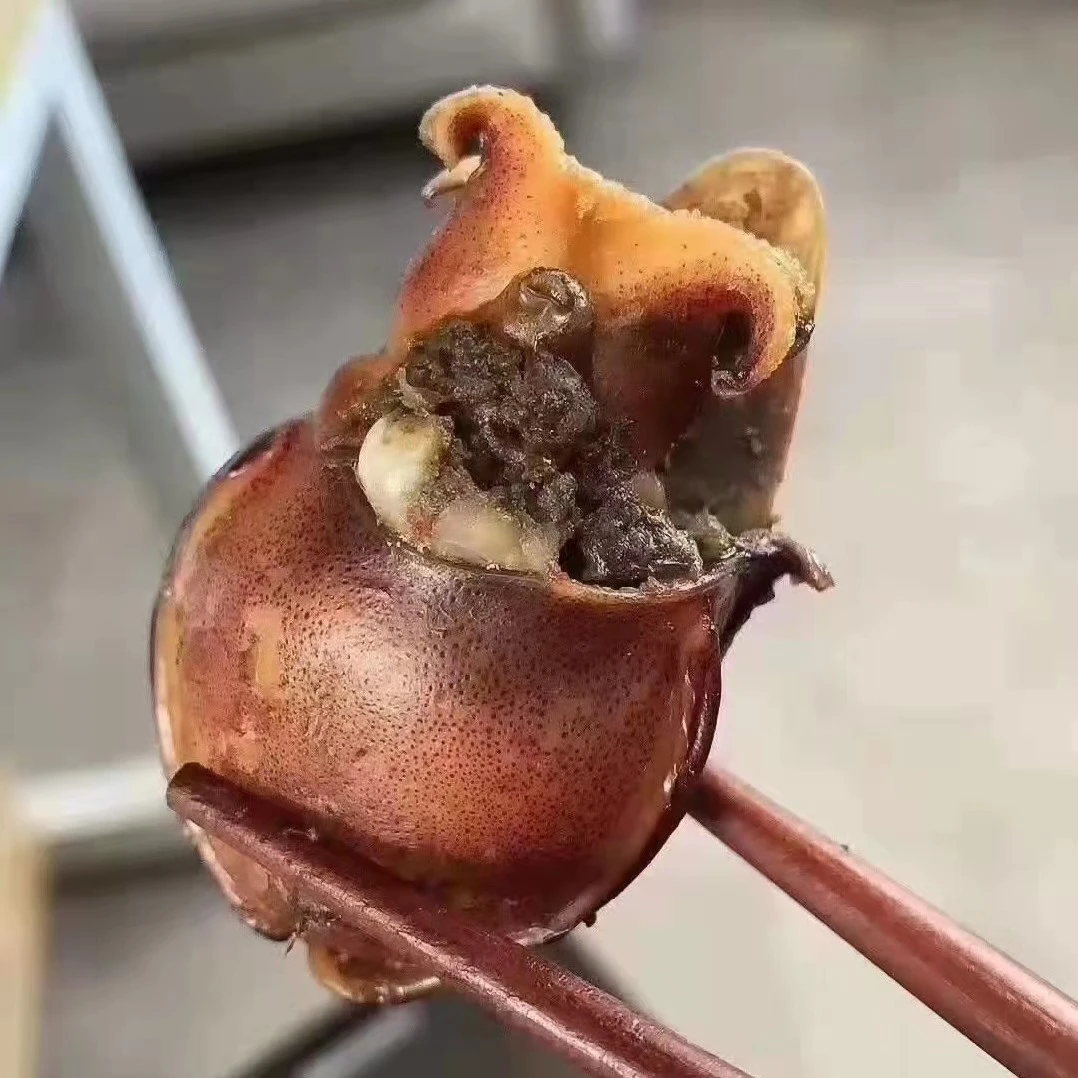 舟山中国大陆冷冻水产包装小乌贼门子 老下饭 海的味道 500g