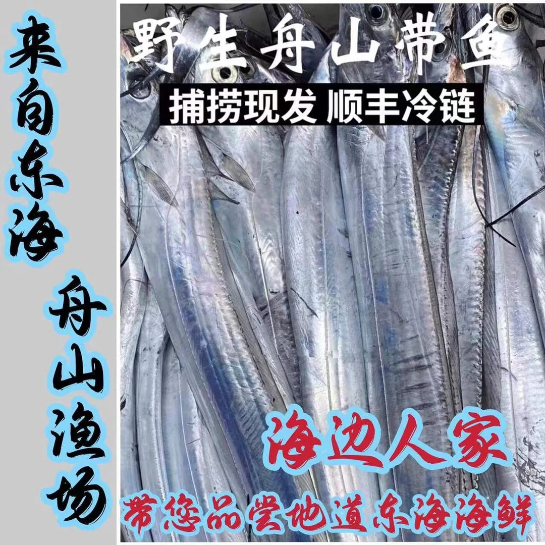浙江省宁波舟山东海油带鱼.平价卖（5-7）（顺丰冷链）