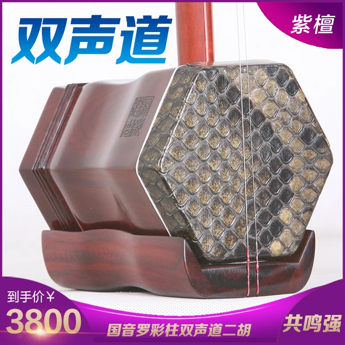 双声道大音量共鸣强紫檀罗彩柱二胡乐器厂家成人通用考级专业演奏