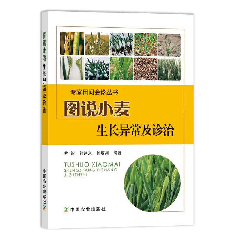 小麦种植技术 图说小麦生长异常及诊治农作物种植玉米种植技术大