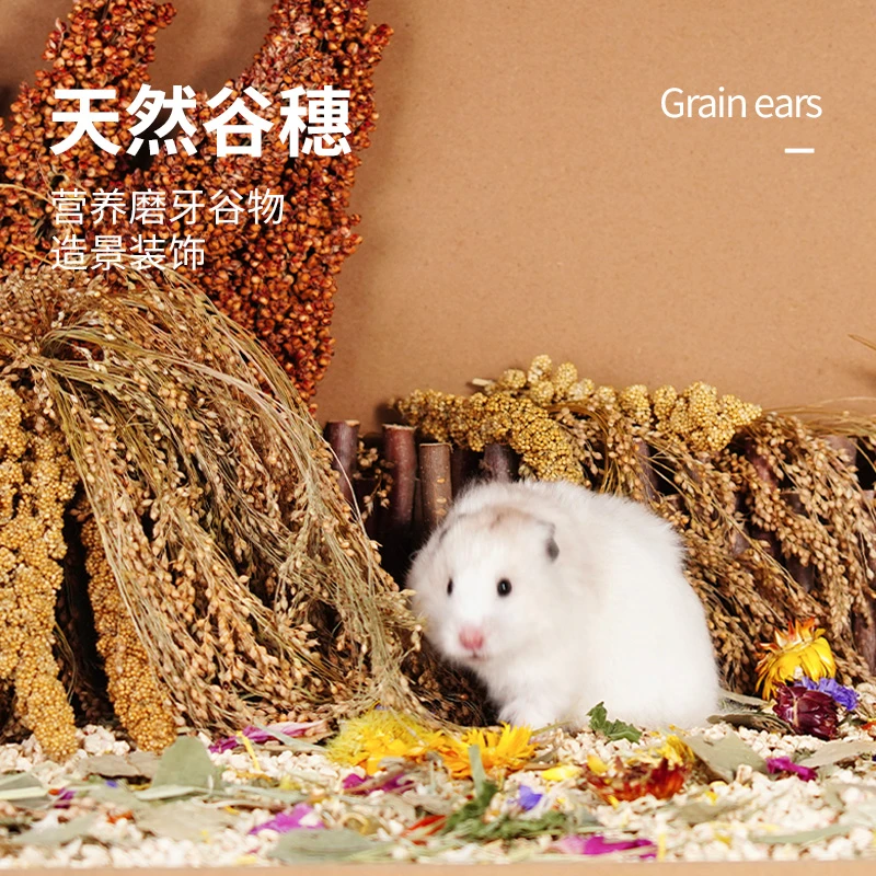 JONSANTY/宠尚天仓鼠谷穗零食磨牙棒装饰造景金丝熊鹦鹉也能用
