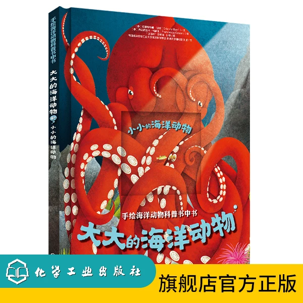 大大的海洋动物和小小的海洋动物