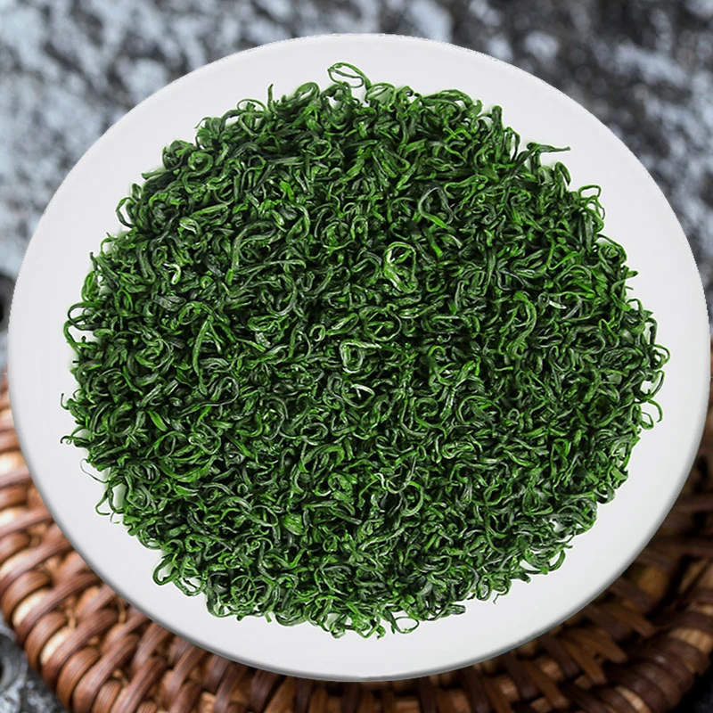 松阳香茶2023年新茶茶叶高山云雾绿茶浓香型