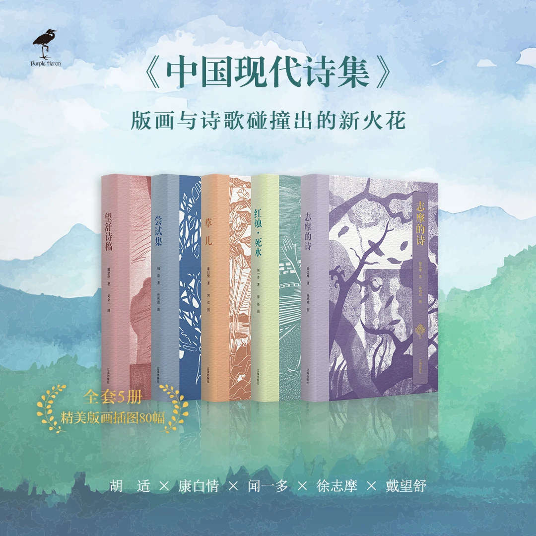 中国现代诗集(全套5册)胡适、康白情、闻一多、徐志摩、戴望舒