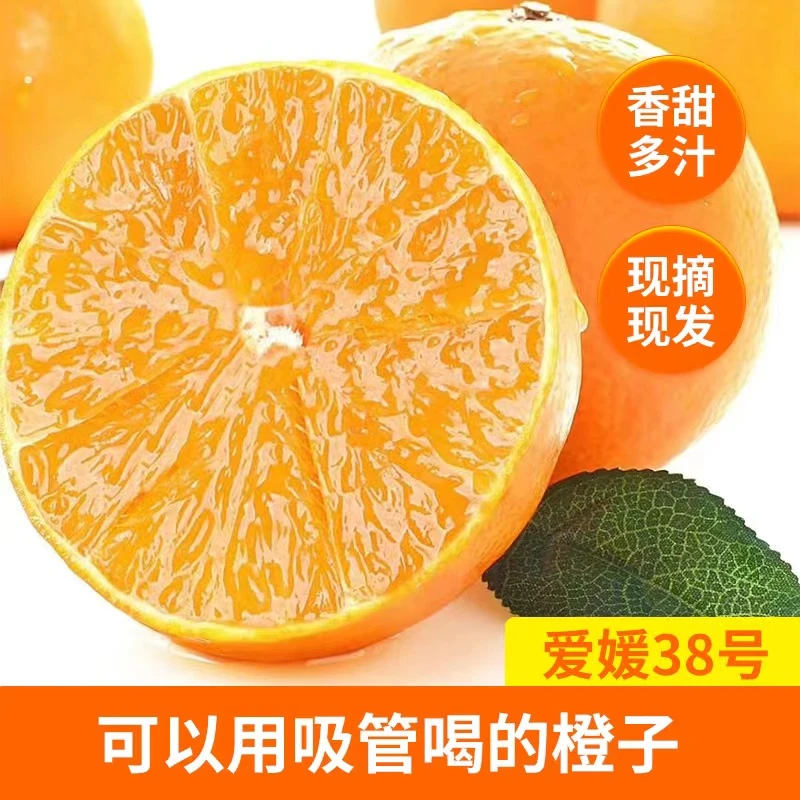 【产区直供爱媛果冻橙】树上熟正宗四川眉山5/8/10斤爆汁现摘现发