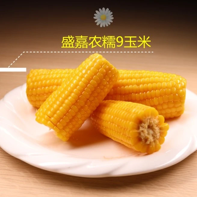 盛嘉农东北黄金玉米4根非转基因甜糯玉米香甜玉米微甜玉米 品尝装