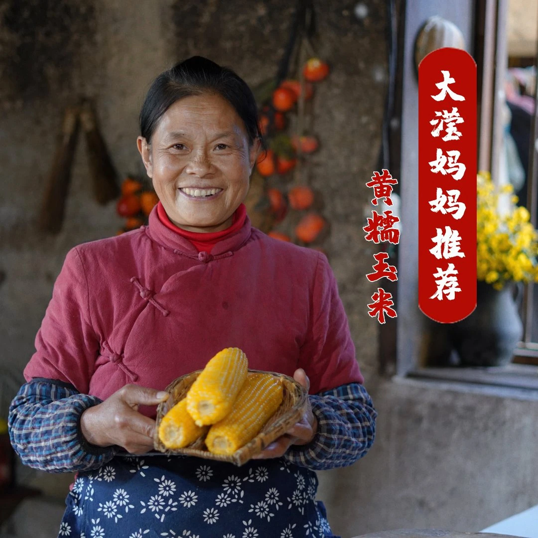 大滢妈妈推荐  东北黄糯鲜食玉米200g/穗   真空八根新鲜四季