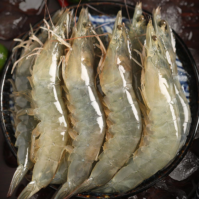 连云港发货 海洋大虾 30/40规格 净重3斤 活虾速冻锁鲜 冷链配送