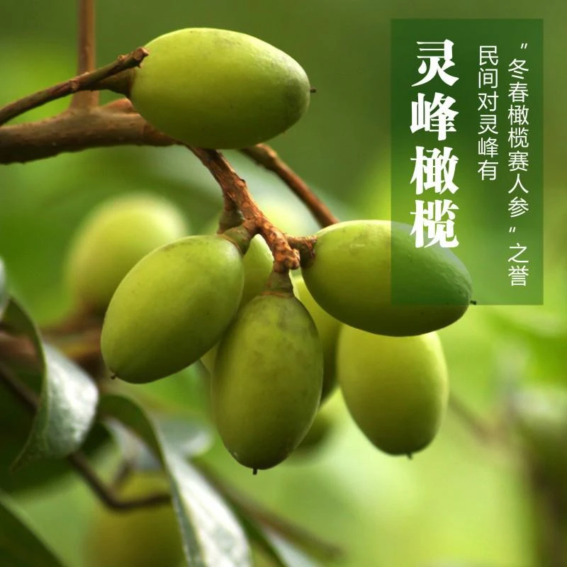 眼镜弟精品天然好吃甘甜灵峰橄榄靓丽特好灵峰橄榄一斤