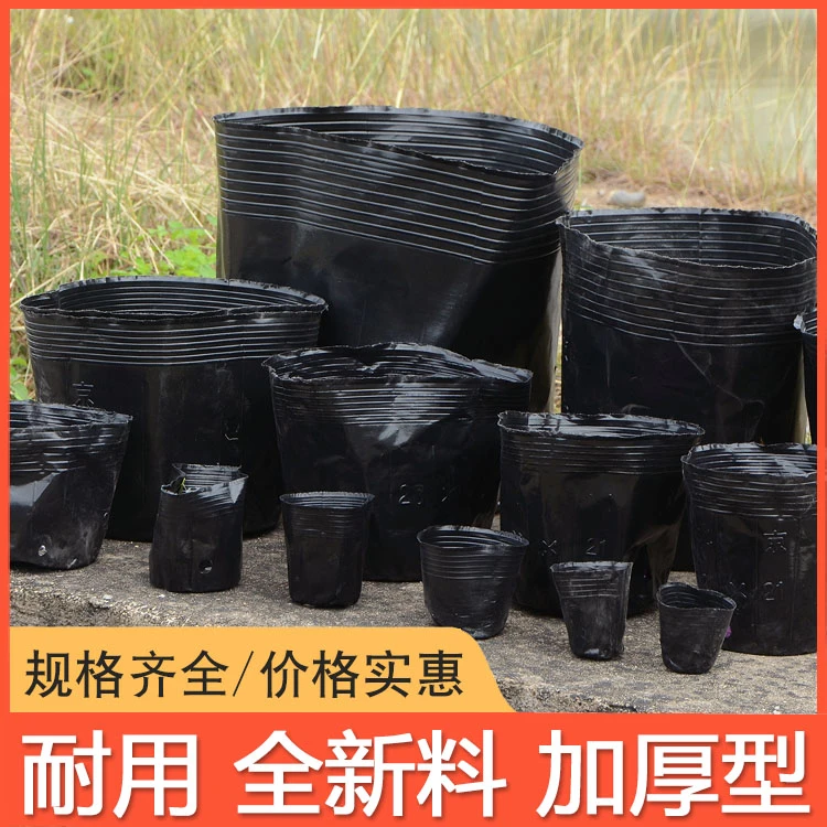 【100】营养杯送肥料育苗盆育苗袋育苗盒营养钵加厚培育一次性花盆