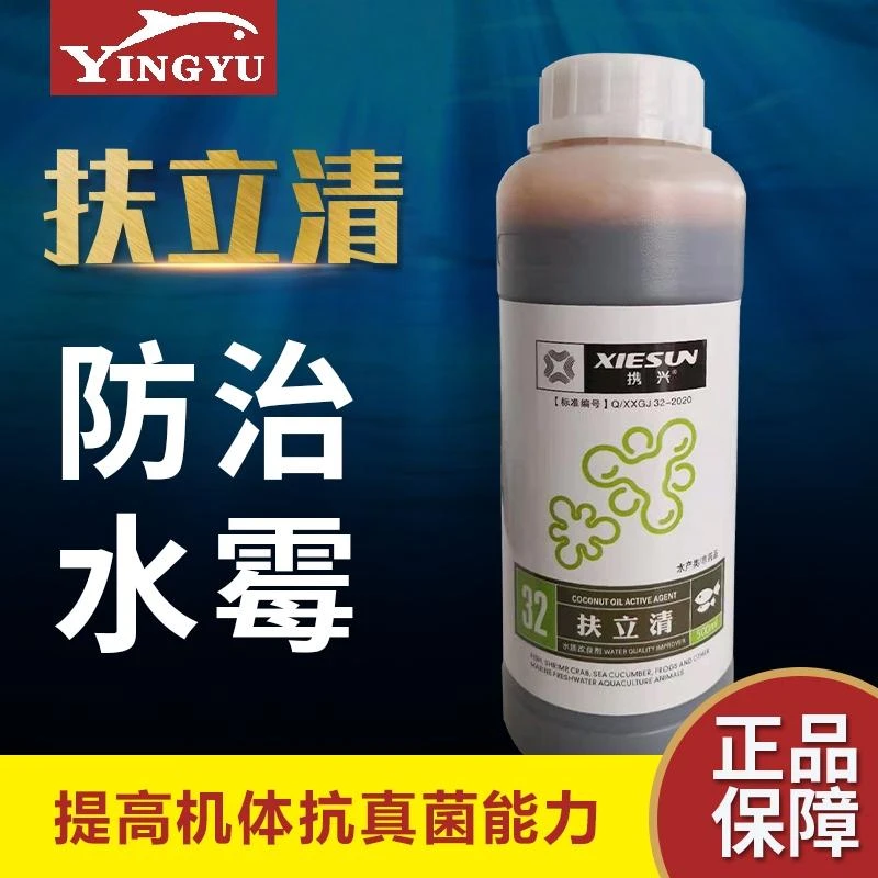扶立清水霉腐皮鳃霉真菌硫醚沙星消毒水杨酸出血修复伤口红斑烂鳃