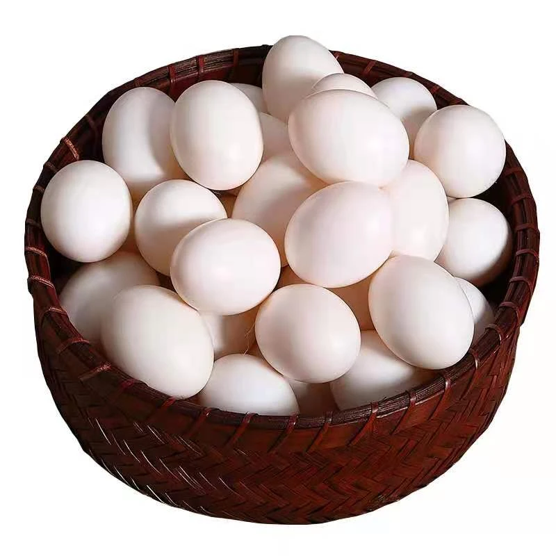 沂蒙山农家新鲜鸽蛋30枚装650g